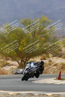 media/Apr-10-2022-SoCal Trackdays (Sun) [[f104b12566]]/Turn 5 Tree of Life (1040am)/